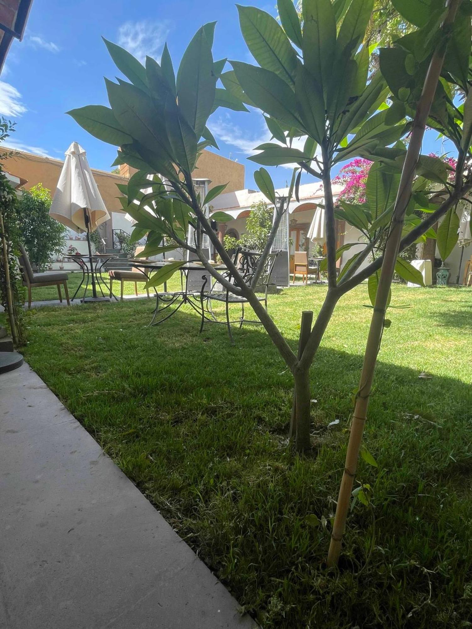 Hotel Casona El Calvario Huichapan المظهر الخارجي الصورة